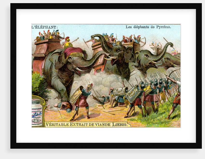 The Elephants of Pyrrhus by Anonymous