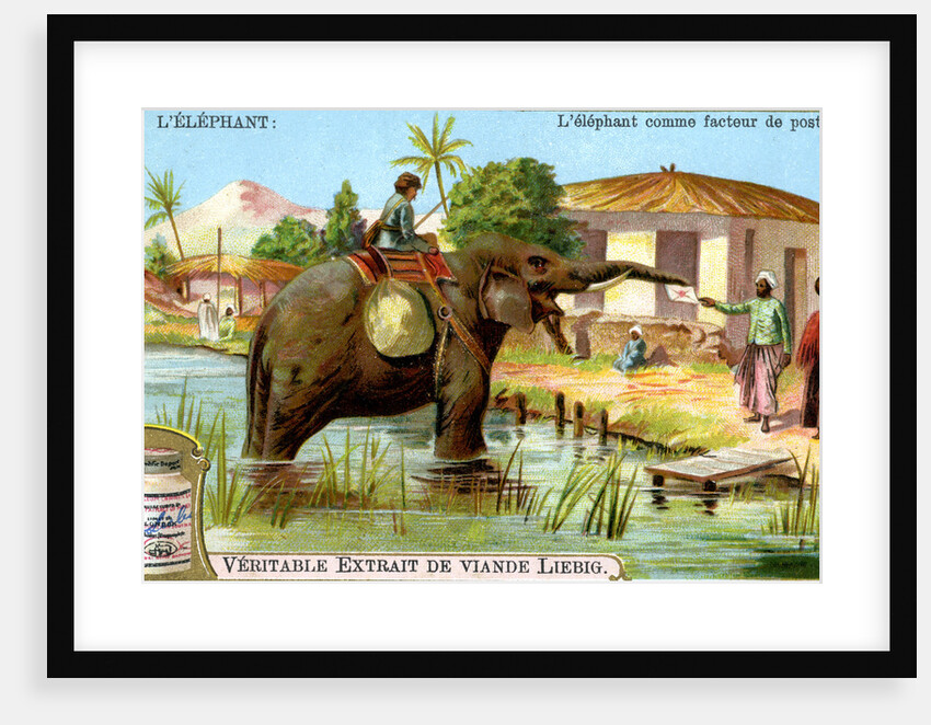 The Elephant as postman by Anonymous