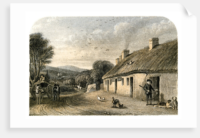 The birthplace of Robert Burns, Alloway, South Ayrshire, Scotland by Anonymous