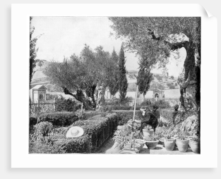 The Garden of Gethsemane, Palestine by John L Stoddard