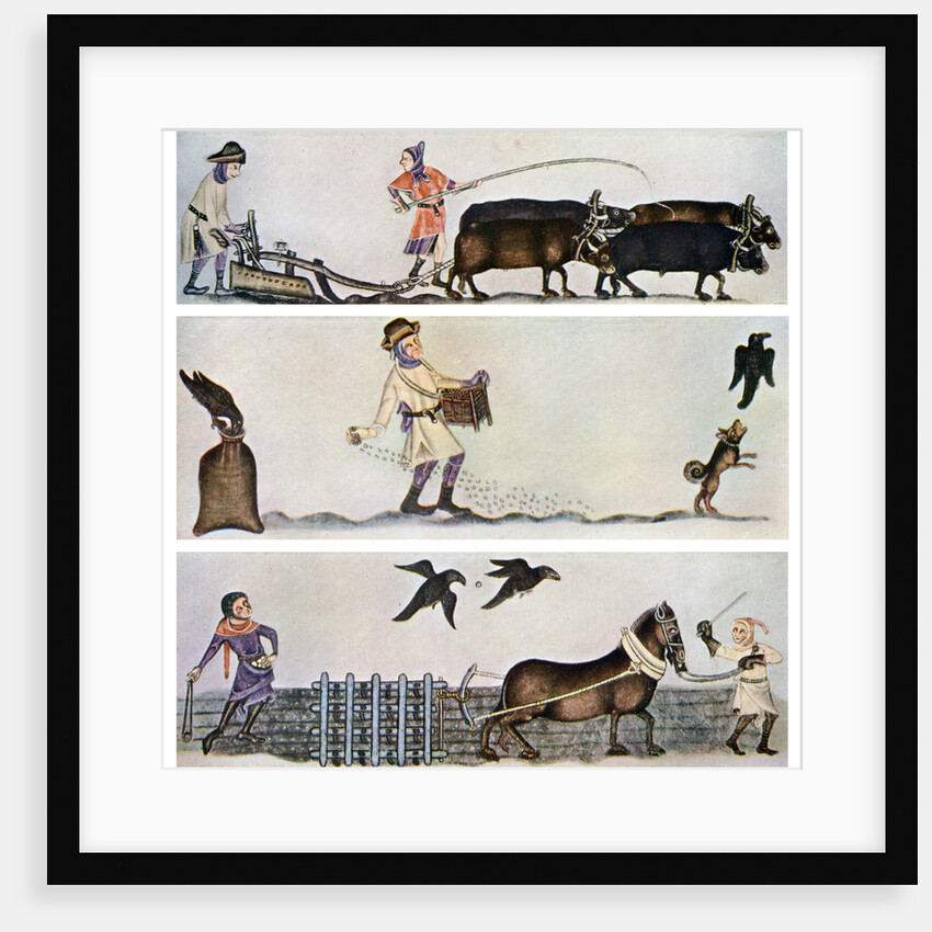 Ploughing, sowing, and harrowing, c1300-1340, (c1900-1920) by Anonymous