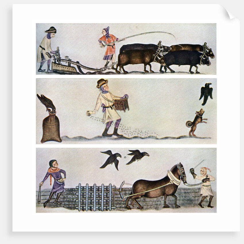 Ploughing, sowing, and harrowing, c1300-1340, (c1900-1920) by Anonymous