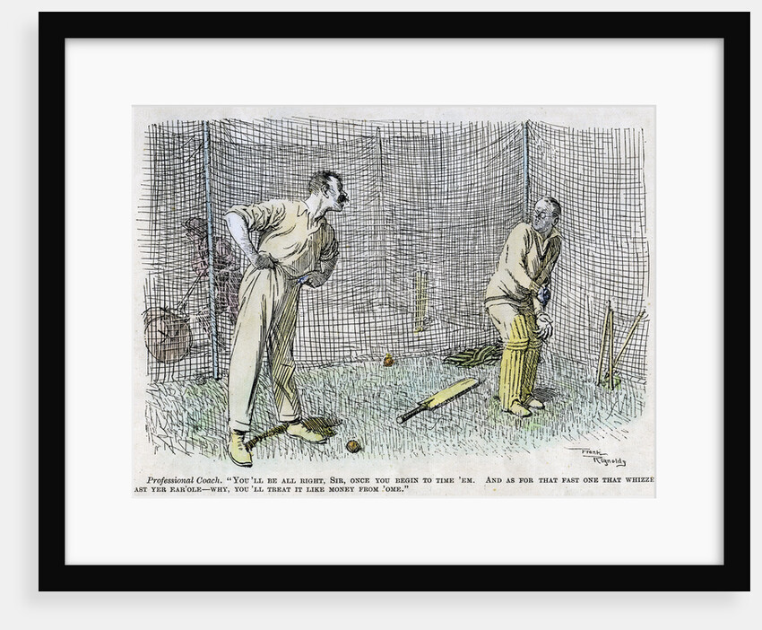 Cricket by Anonymous
