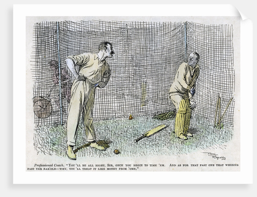 Cricket by Anonymous