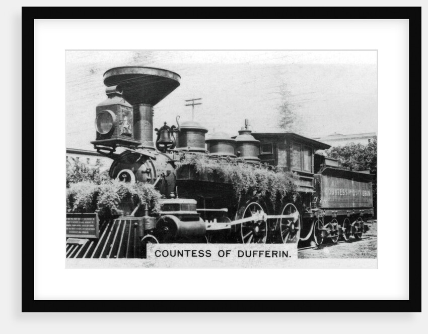 'Countess of Dufferin', Canada by Anonymous