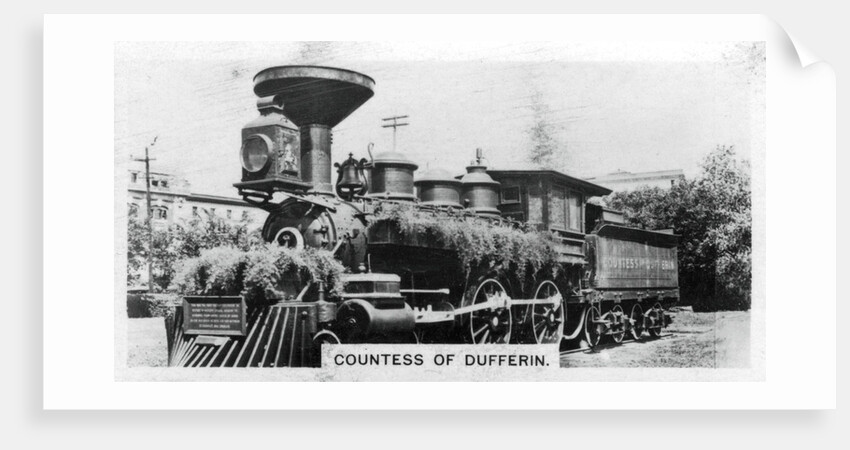 'Countess of Dufferin', Canada by Anonymous