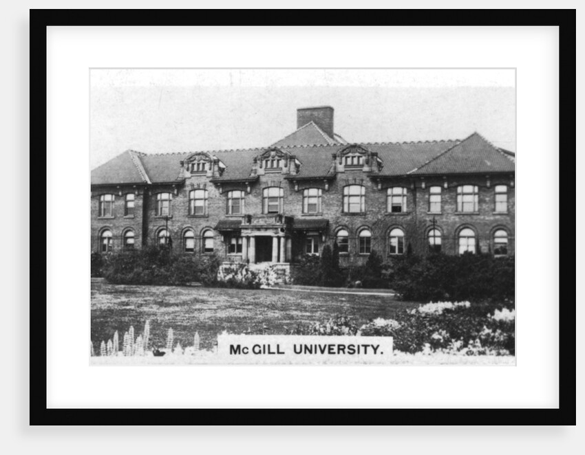Chemistry building, McGill University, Montreal, Canada by Anonymous