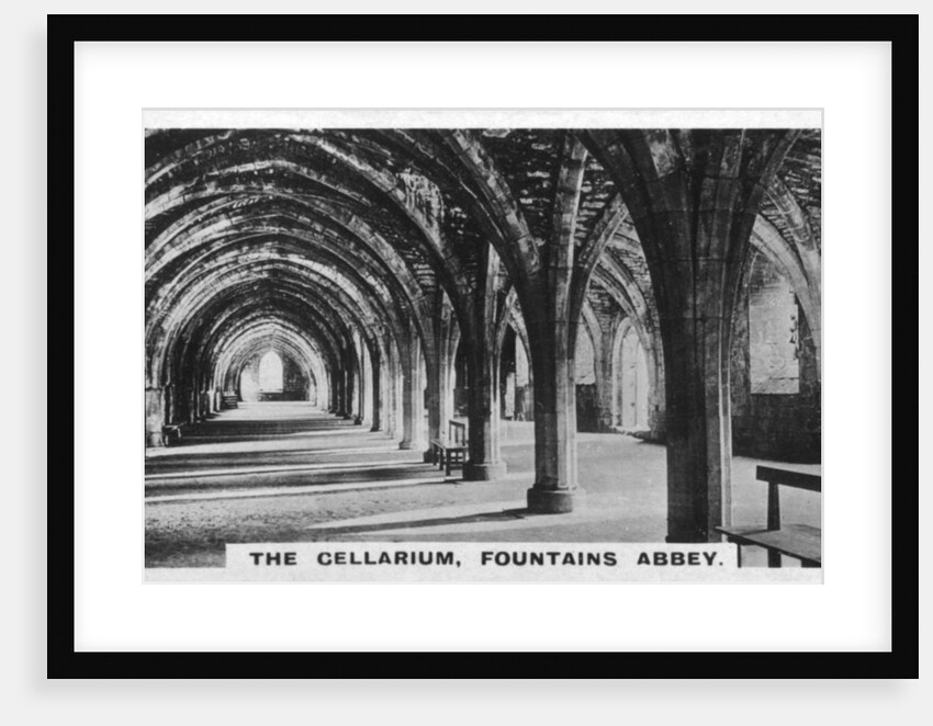 The Cellarium, Fountains Abbey, Yorkshire by Anonymous