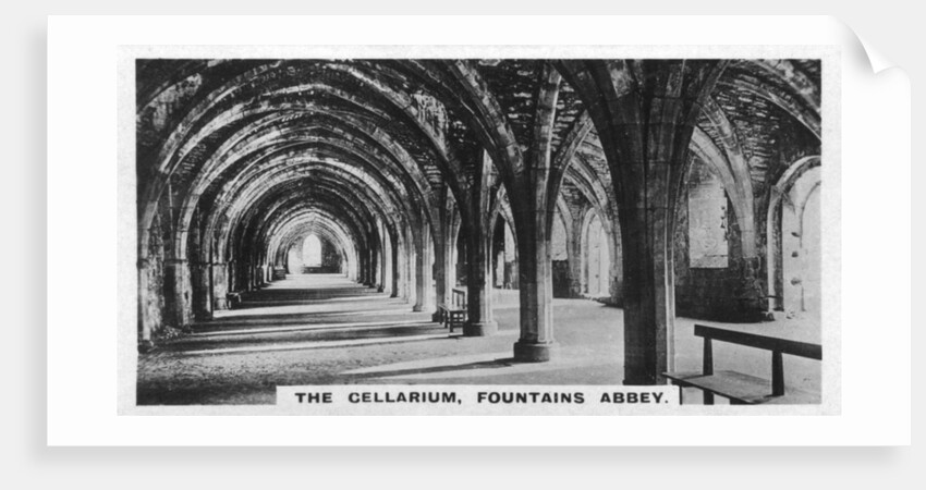 The Cellarium, Fountains Abbey, Yorkshire by Anonymous