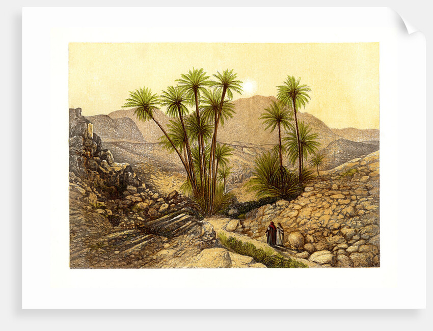 The Desert of Sinai, Egypt by W Dickens