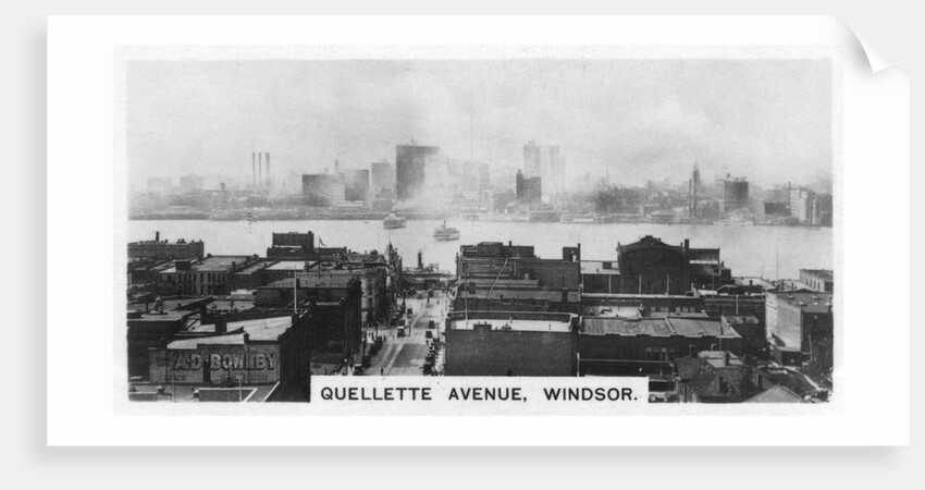Quellette Avenue, Windsor, Ontario, Canada by Anonymous