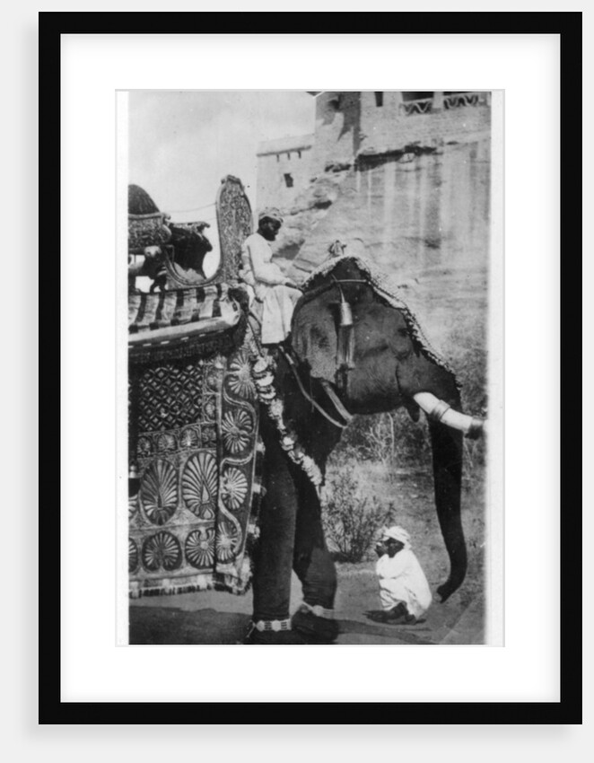 Government elephant in state costume, South India by Anonymous