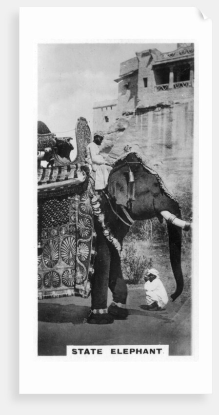 Government elephant in state costume, South India by Anonymous