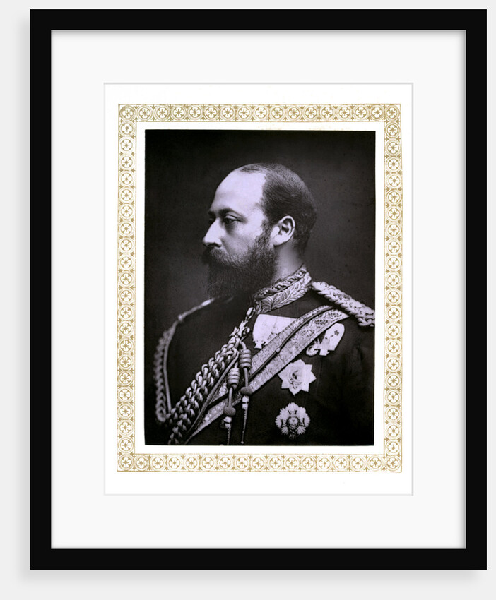 The Prince of Wales by Alexander Bassano