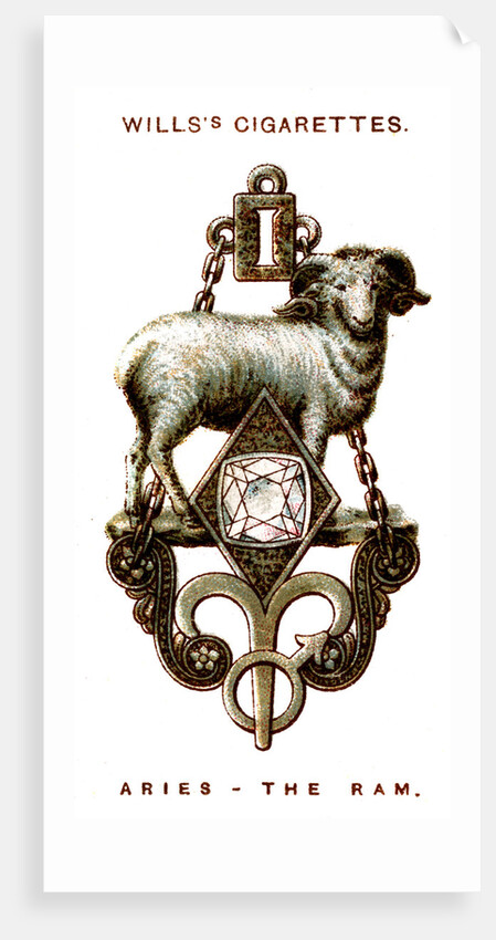 Aries, The Ram by Anonymous