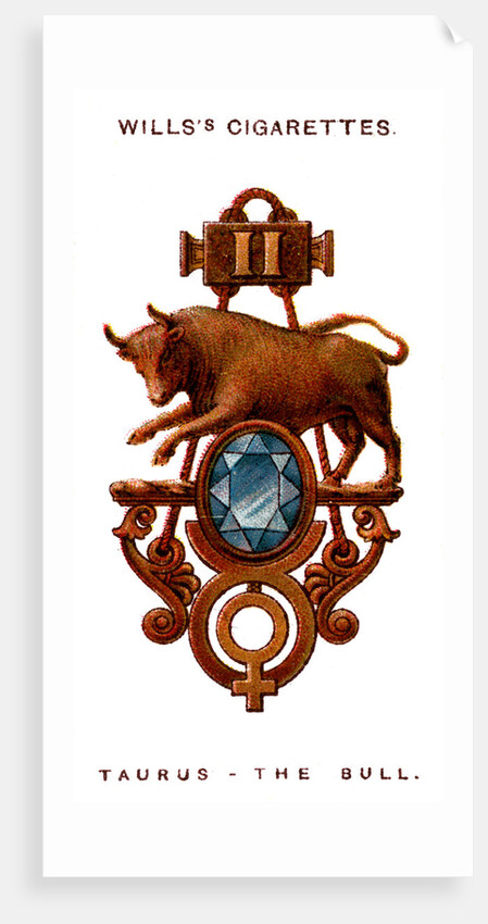 Taurus, The Bull by Anonymous