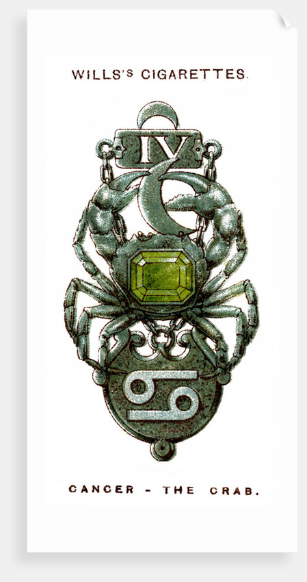 Cancer, The Crab by Anonymous