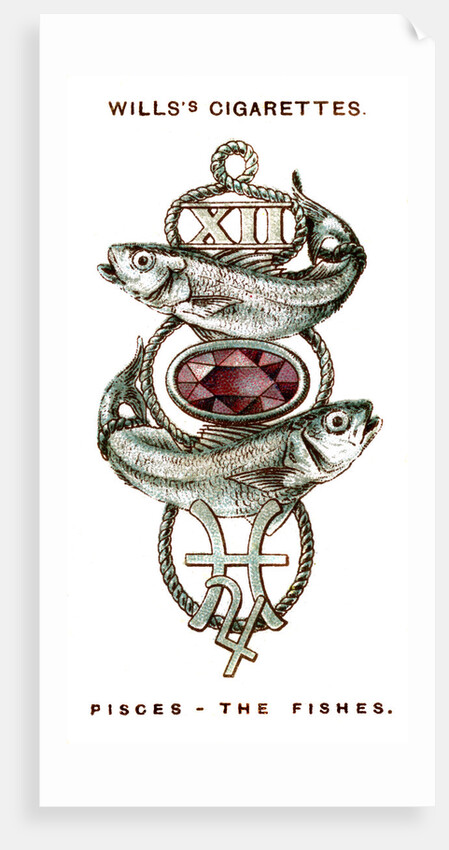 Pisces, The Fishes by Anonymous