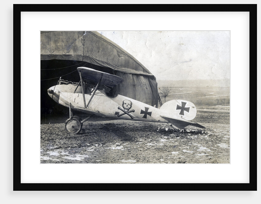 German Albatros DV, Souilly, France by Anonymous