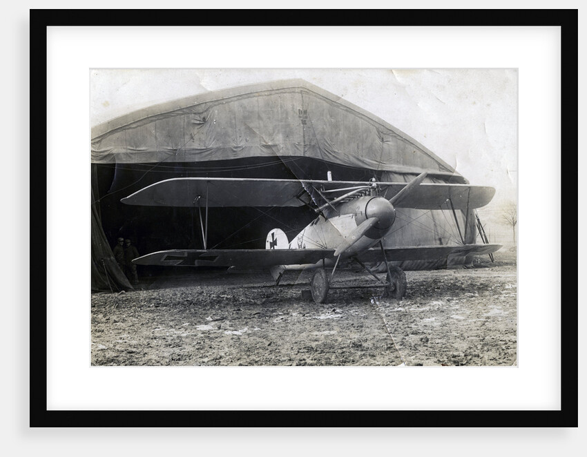 German Albatros DV, Souilly, France by Anonymous