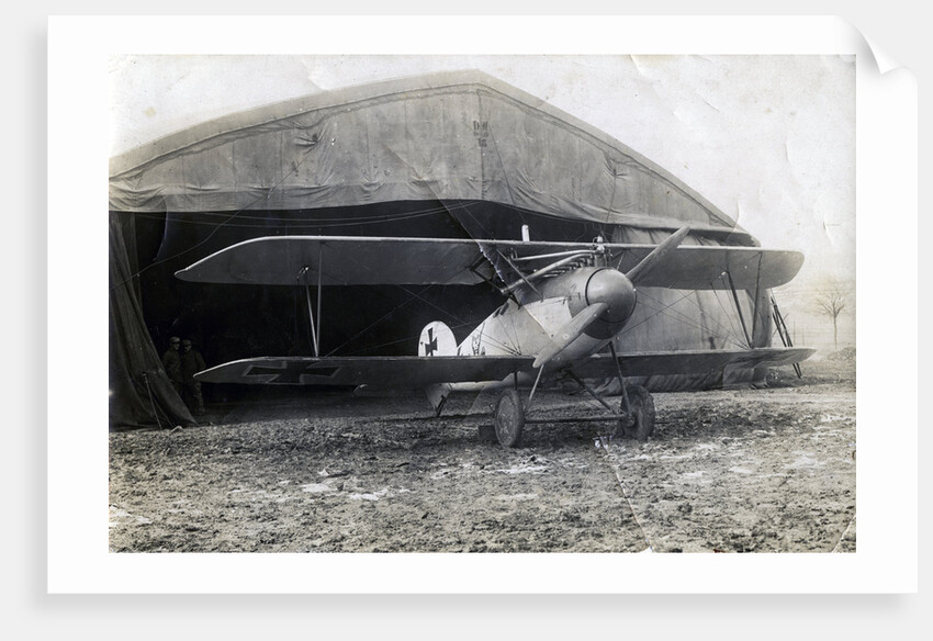 German Albatros DV, Souilly, France by Anonymous