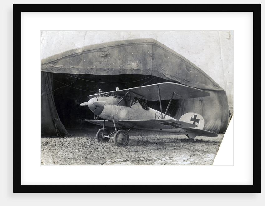 German Albatros DV, Souilly, France by Anonymous