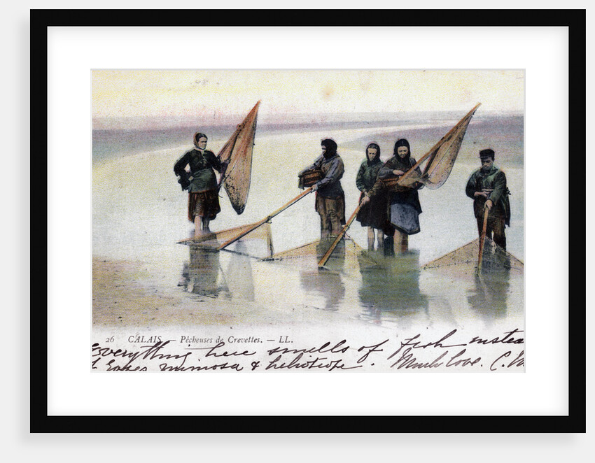 Women shrimp fishers, Calais by Anonymous