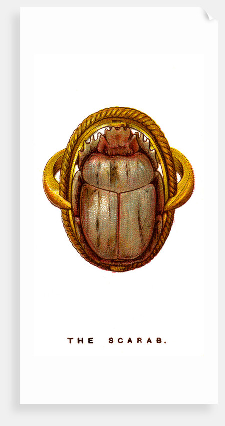 The Scarab by Anonymous