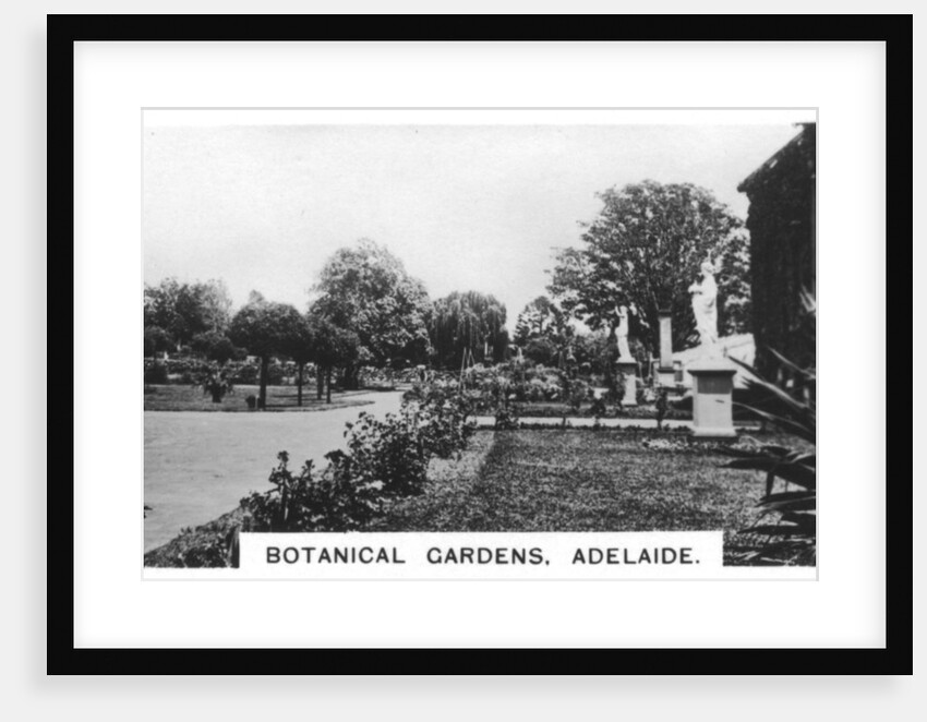 Botanical Gardens, Adelaide, Australia by Anonymous