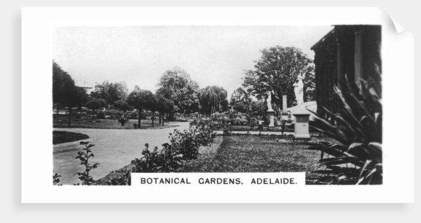 Botanical Gardens, Adelaide, Australia by Anonymous