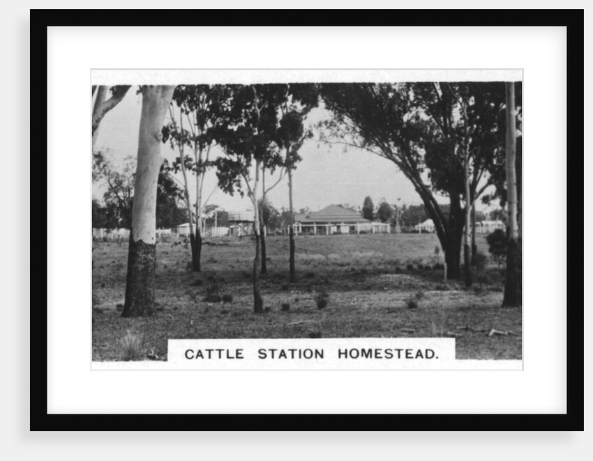 Cattle station homestead, Australia by Anonymous