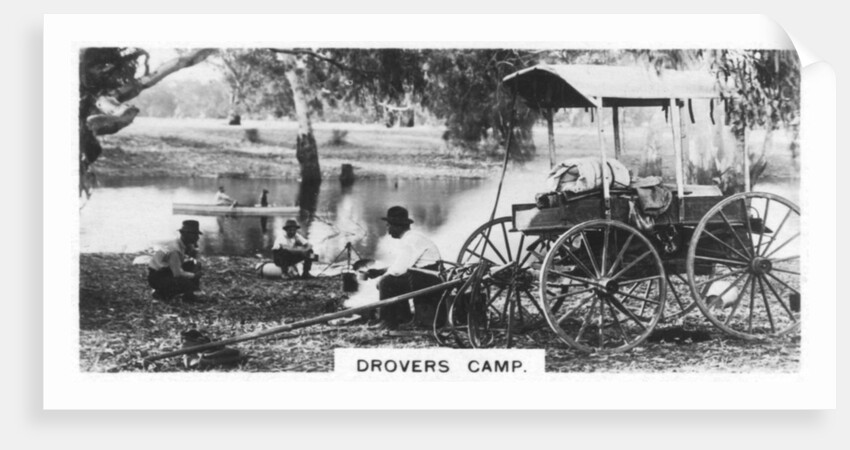 Drovers camp, Australia by Anonymous