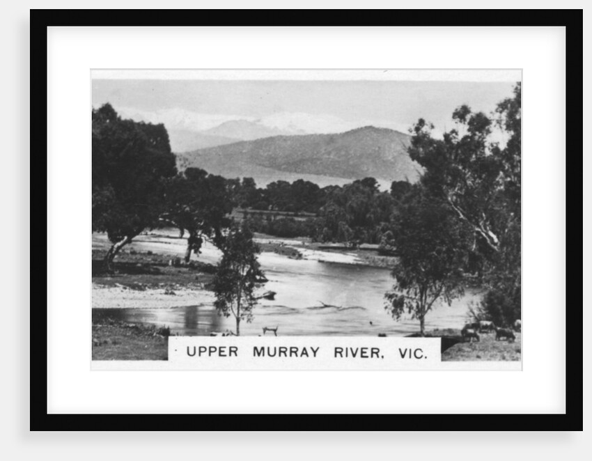 Upper Murray River, Victoria, Australia by Anonymous