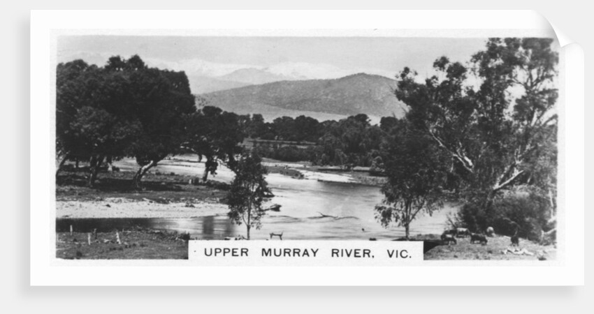 Upper Murray River, Victoria, Australia by Anonymous
