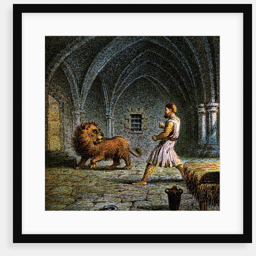 Richard The First And A Lion by Anonymous
