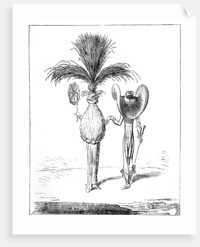 Parasols for 1795 by Anonymous