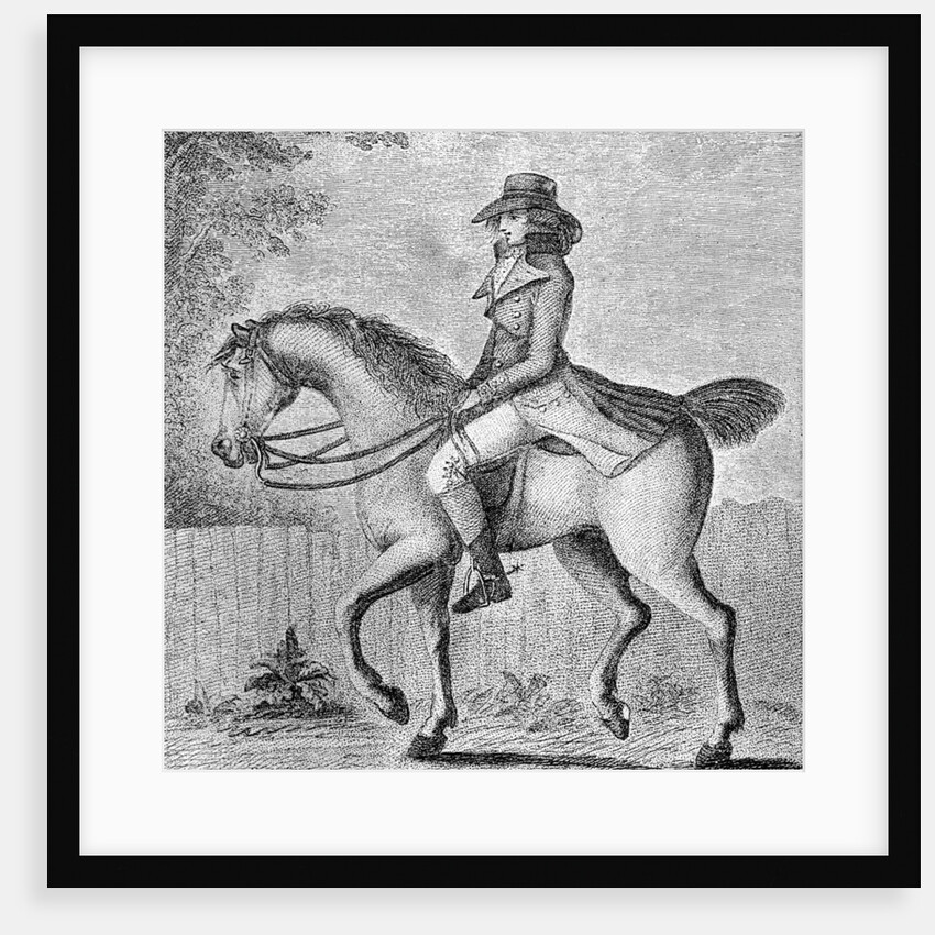 The Mistaken Notion by W Dickinson