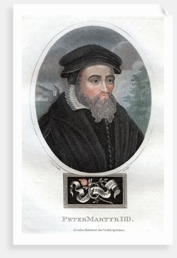Peter Martyr by J Chapman