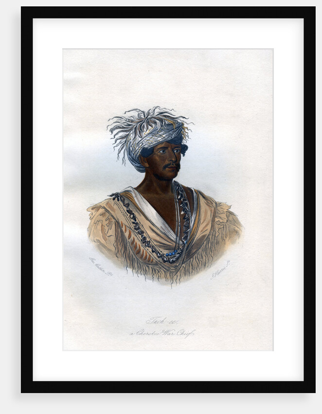 Tuch-ee, A Cherokee War Chief by Harris
