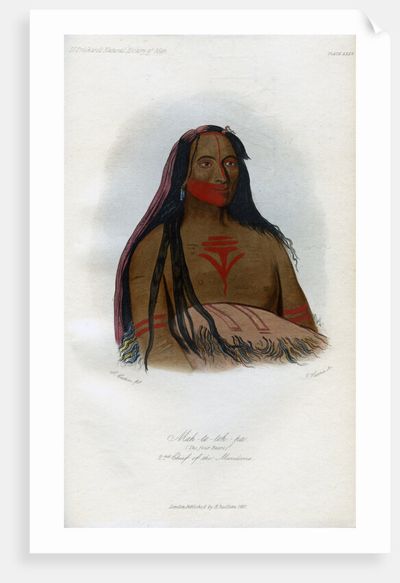 Mah-to-toh-pa, (The Four Bears), 2nd Chief of the Mandans by Harris