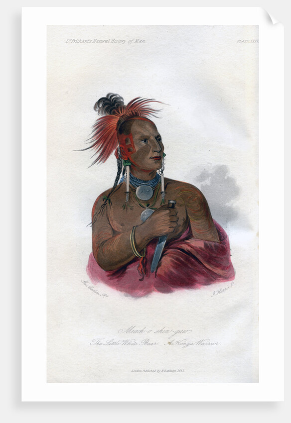 Meach-o-shin-gaw, The Little White Bear, A Konza Warrior by Harris