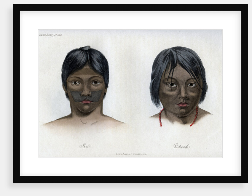 Juri and Botocudos, of the Brasilio-Guarani nation by Anonymous