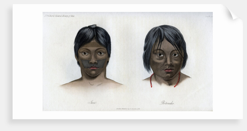 Juri and Botocudos, of the Brasilio-Guarani nation by Anonymous