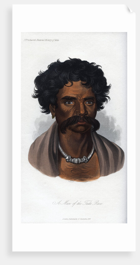 A Man of the Tuda Race by Anonymous
