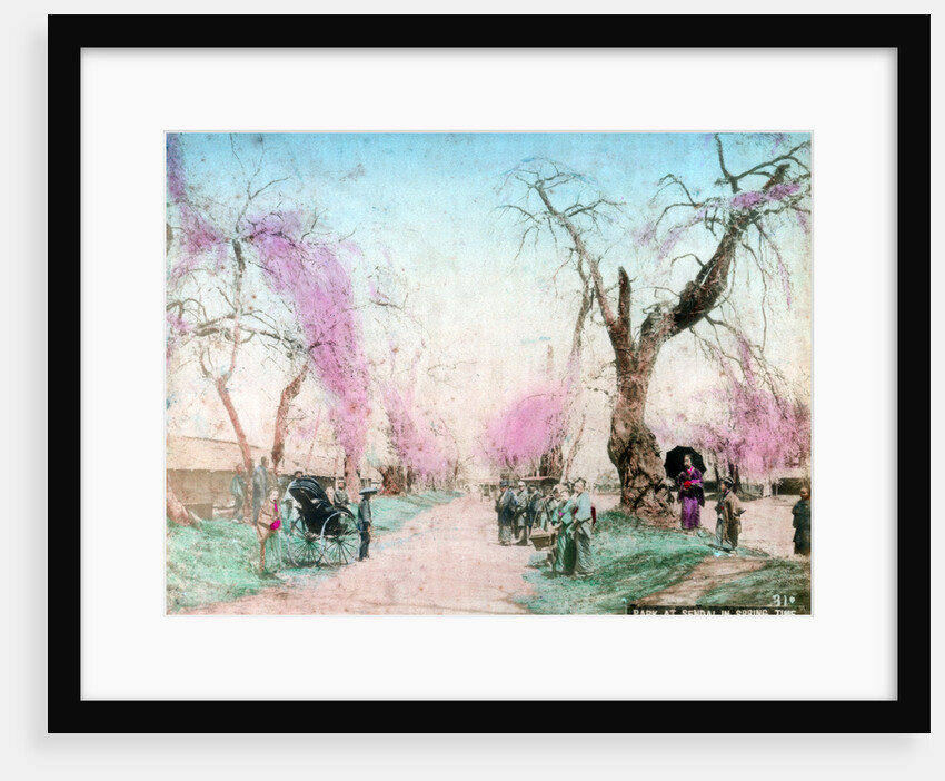 A park in springtime, Sendai, Miyagi Prefecture, Japan by Anonymous