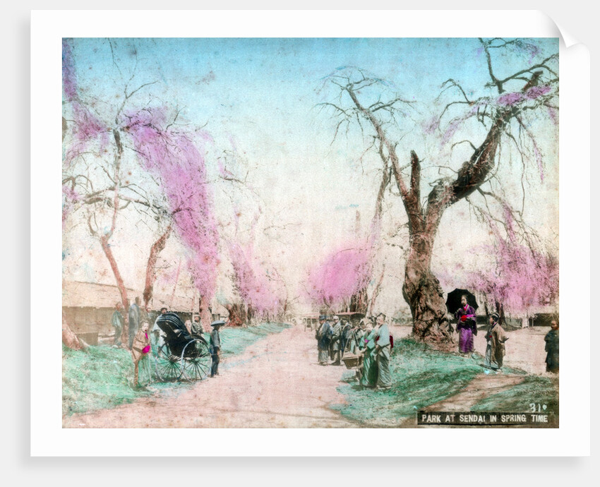 A park in springtime, Sendai, Miyagi Prefecture, Japan by Anonymous