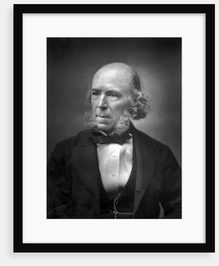 Herbert Spencer by Anonymous