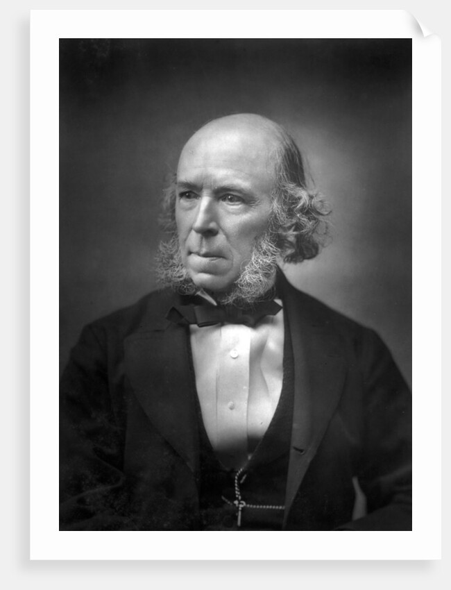 Herbert Spencer by Anonymous