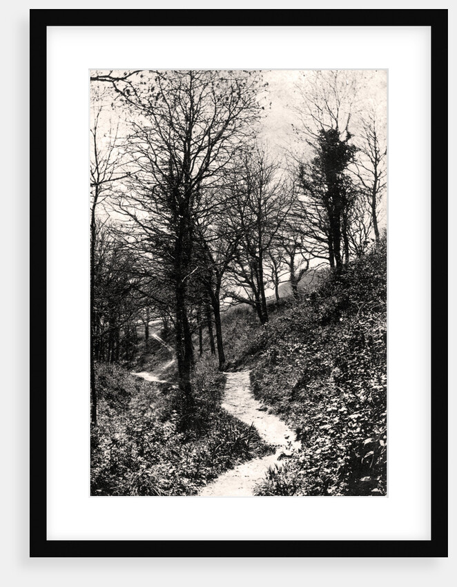 Lovers Lane, Fairlight, Hastings, Sussex by Anonymous
