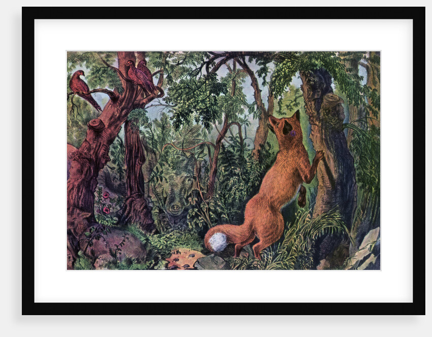 The Puzzled Fox by Currier and Ives